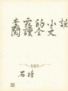 李霖的小说免费阅读全文