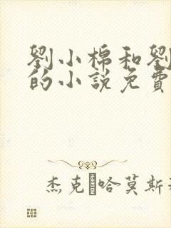 刘小棉和刘易文的小说免费阅读