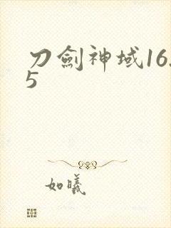 刀剑神域16.5