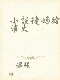 小说后妈给我消消火