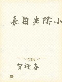 长日光阴小说