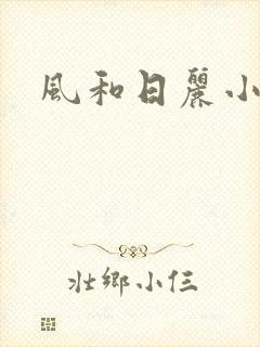 风和日丽小说