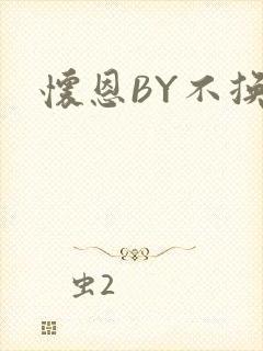 怀恩BY不换