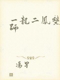 一龙二凤双飞老师