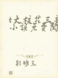 t大校花三部曲小说免费阅读全文