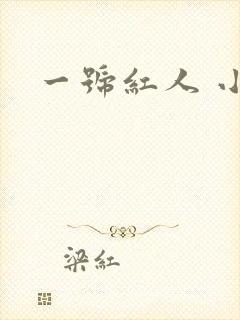 一号红人 小说