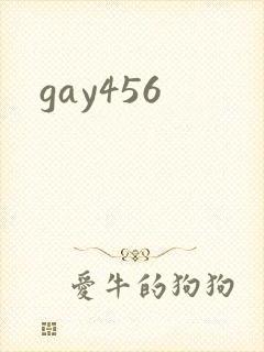 gay456