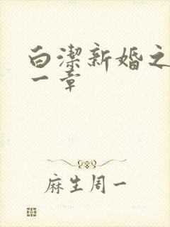白洁新婚之夜第一章