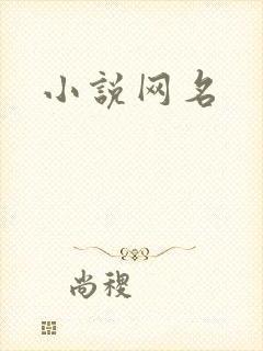 小说网名