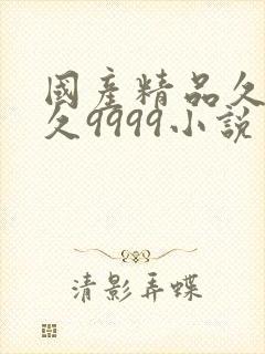 国产精品久久久久9999小说