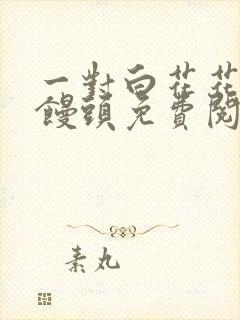 一对白花花的大馒头免费阅读