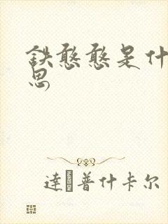 铁憨憨是什么意思