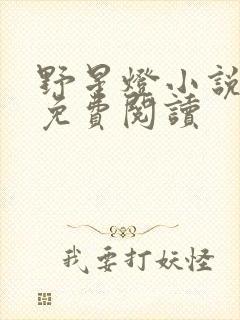 野星灯小说全文免费阅读