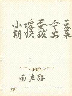 小坏蛋今天危险期快拔出来