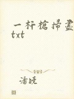 一杆枪扫尽全家txt