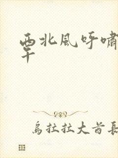 西北风呼啸的中午