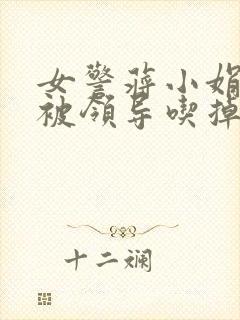 女警蒋小娟的奶被领导吃掉了