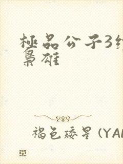 极品公子3续世枭雄