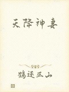 天降神妻