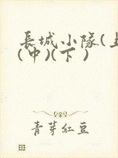 长城小队(上)(中)(下 )