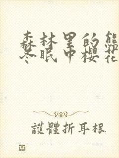 森林里的熊先生冬眠中樱花动漫