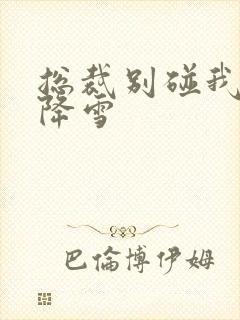 总裁别碰我 韩降雪