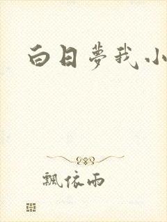 白日梦我小说