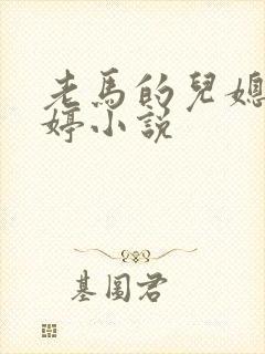 老马的儿媳顾婉婷小说