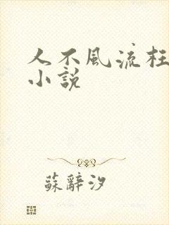 人不风流枉少年小说