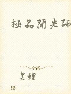 极品开光师