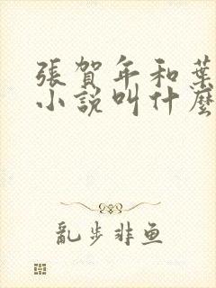 张贺年和叶繁姿小说叫什么名字