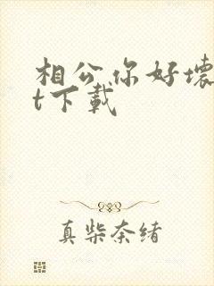 相公你好坏txt下载