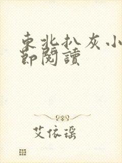 东北扒灰小说分节阅读