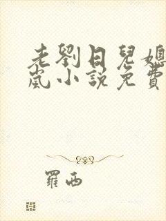 老刘日儿媳妇张岚小说免费阅读