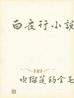 白夜行小说下载