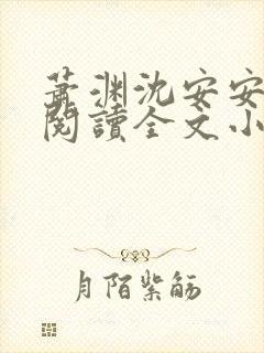 萧渊沈安安免费阅读全文小说