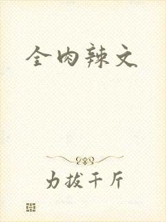 全肉辣文