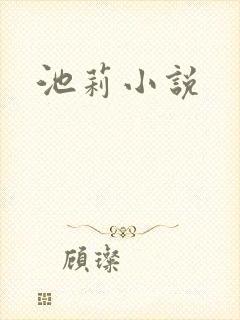 池莉小说