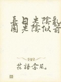 长日光阴乱作一团光阴似箭必读