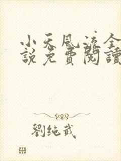 小天风流全集小说免费阅读