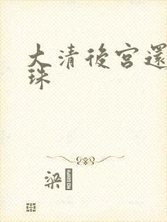 大清后宫还君明珠