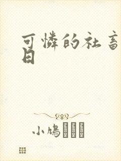 可怜的社畜东度日