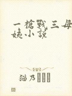 一枪战三母2雪姨小说
