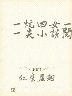 一炕四女一共侍一夫小说阅读