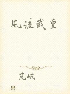 风流武皇