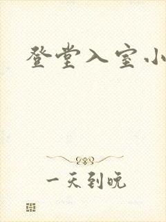 登堂入室小说