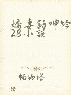 娇妻的呻吟1—28小说
