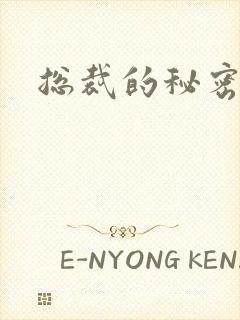 总裁的秘密情人