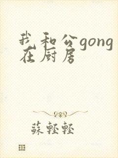 我和公gong在厨房