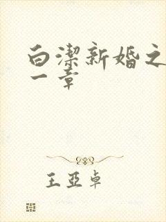 白洁新婚之夜第一章